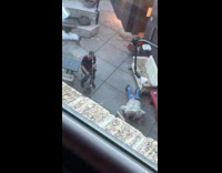 Collab IITW - Man fur coat tiktok back of restaurant