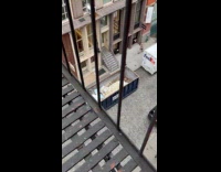 Collab WINY - Dumpster full of lower part of mannequins