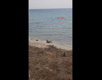 Man and woman naked dance WAP beach