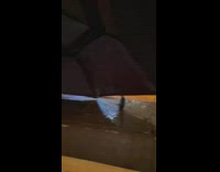 Two people eating noodles while it rains