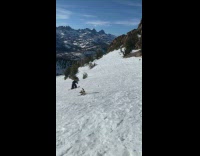 Man in Snowboard Trips on Snow and Falls