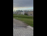 Five people lie down and roll downhill for a video shoot