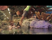 Guys jumps in water tank in store