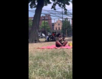 Collab WINY - Couple ride scooter motorcycle with pet dog