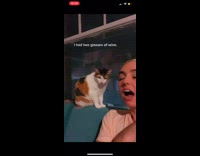 Girl talking to cat coming home late 