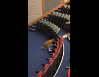 Orange cat strolls into lecture hall