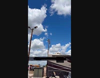 Man taunts bird then it fly towards him