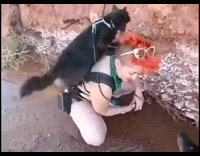 Black cat get up owner  mountain hike