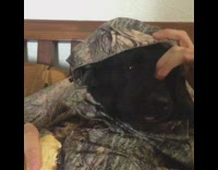 Black dog camouflage print sweater eats bread