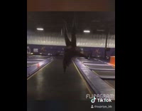 Girl falls on face indoor trampoline park 