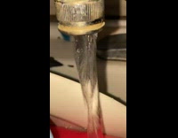 Girl microwaves poptart and slice of pizza