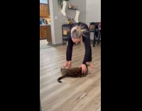 Woman spins pet cat on the floor
