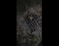 Frog squeeze inside drainage canal metal cover