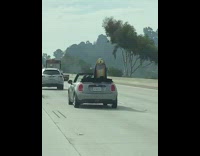 Collab Kook Of The Day - Surfboard sticks out mini cooper convertible car