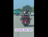 Girl rides red motorcycle with dog freeway 