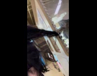 Cat at pet store pulling womans hair