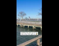 Random guy crosses over the river railings