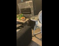 Dog bark scared at plague doctor costume