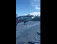 Collab winy - Man and woman dance at port husky dogs