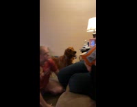 Collab Clips mpugc - Girl copies dog begging fight