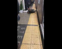 Collab Subway Creatures - Man lays on floor and yells help me in front of open door subway 