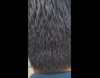 Boy rides wheel cart new way transportation