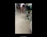 Australian shepherd dog shakes butt while walking 