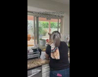 Shes my mom and she didnt want any pets