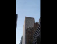 Flock of pigeons flies around in circles part 2