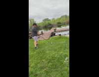 Guy hit golf ball hits cameraman 