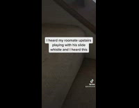 Guy screams into slide whistle 