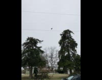 Young girl watch balloon float said bayoon 