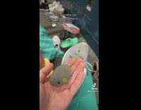 Girl pulls grey toy mouse out of shoe 