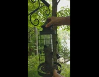 Squirrel chipmunk stuck in bird feeder pt. 2