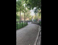 Girl white dress umbrella picnic park pt. 2