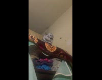 Chubby cat meows from top of bed 