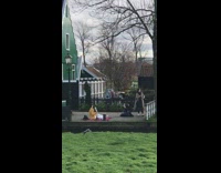 Red blanket yellow jacket girl bouquet champagne