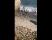 Two women tiktok dance filmer cheers beach