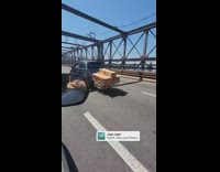 Small smart car on the bridge towing a small dollie with packages 
