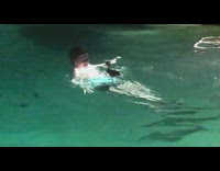 Man swims and plays with a goose in the pool
