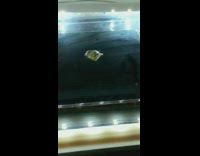 Uranium inside cage visualization of radiation release