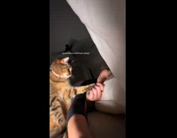 Woman woke up by cat beside her