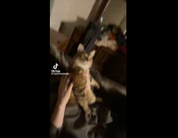 Collab Clips MPUGC2 - Man holding cat says he looks like junie b jones 