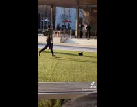 Collab BitchMP - Guy chasing after small black puppy running away