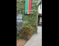 Cat walking around plants at Legoland