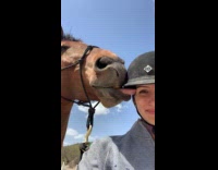 Horse shows off affection licks woman face