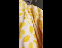 Black dog brown eyebrows ritz crackers bed 