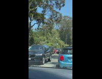 Lady directs traffic blue mini cooper car 
