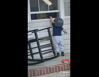 Little baby visits dog in house window 