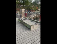 Pigeons sit near dead rat on pier 